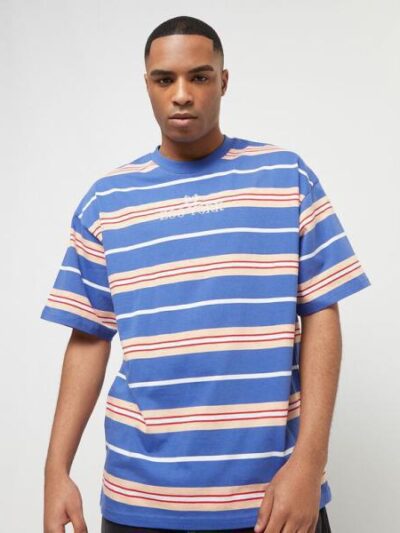 Zoo York Man Striped Tee - Image 6