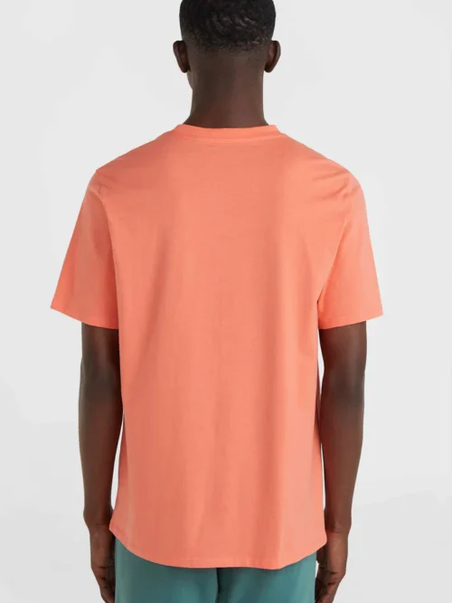 O'neill Cali Original T-Shirt - Coral - Image 4