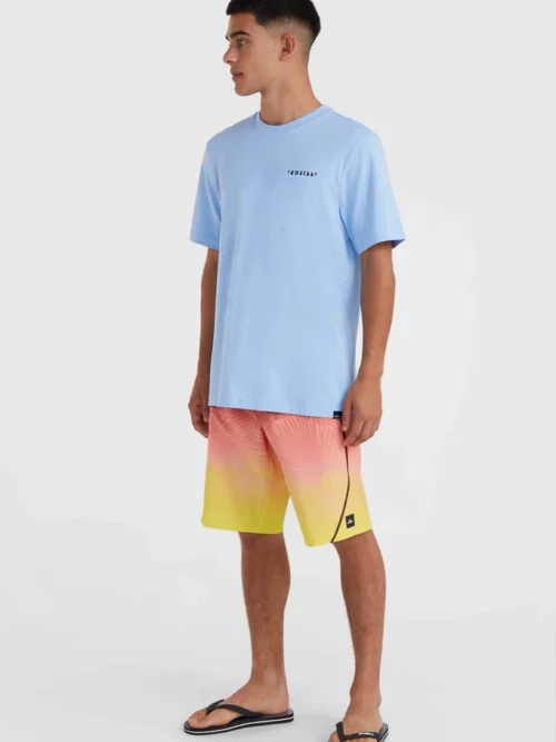 O’Neill Beach Graphic T-shirt - Melody Blue - Image 5