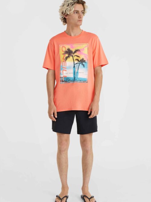 O'Neill Neon T-Shirt - Coral - Image 5
