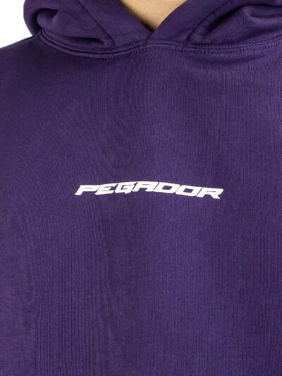 Pegador Dubose Oversized Hoodie - Image 5