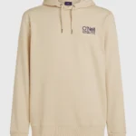 ανδρικό μπεζ φούτερ με κουκούλα από την o'neill, originals cali logo hoodie