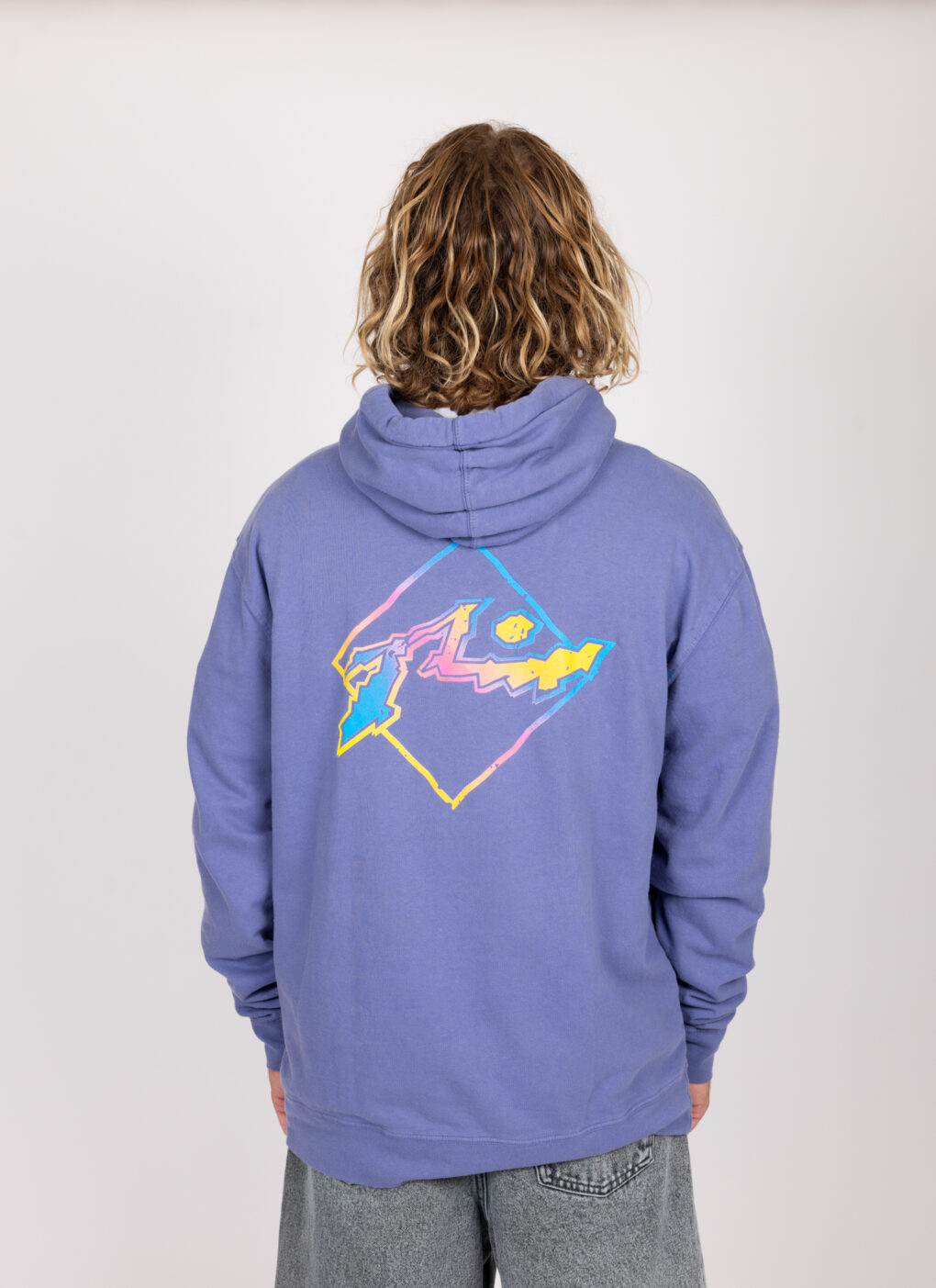 ανδρικό φούτερ σε μωβ χρώμα από την rusty, crackel Hoodie