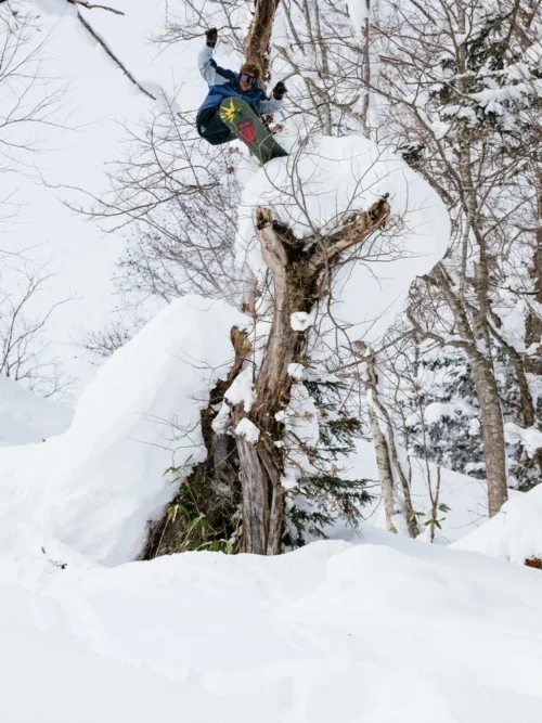Beyond Medals Park Pants - Snow Pants Παντελόνι - Image 17