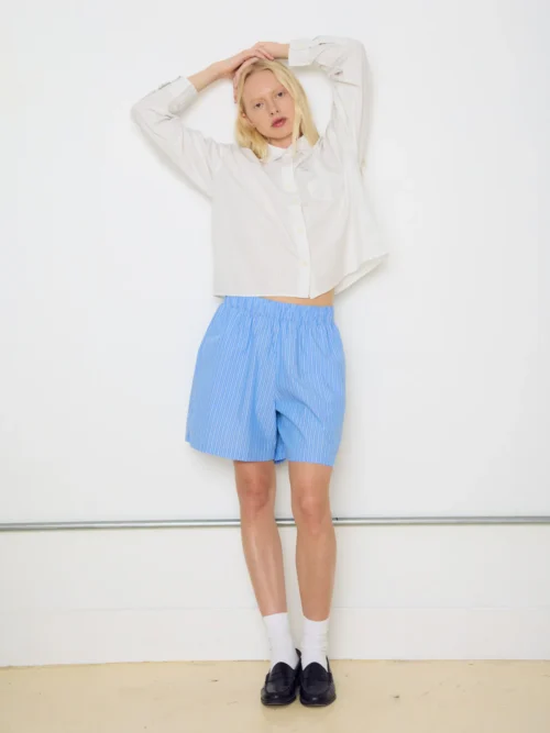 Obey Leisure Stripe Short - Image 5