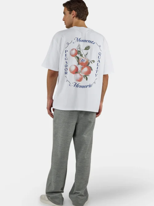 Pegador Frombork Oversized T-shirt - Image 5