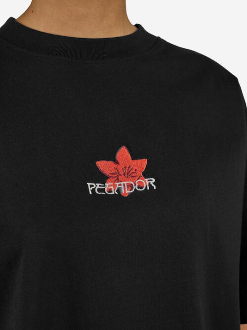 Pegador Modra Heavy Oversized T-shirt - Image 4