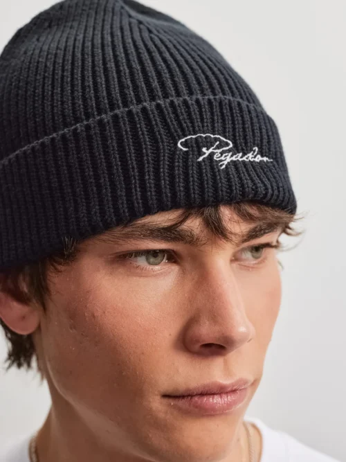 Το Pegador Signar Heavy Knit Beanie προσφέρει ζεστασιά και σύγχρονο streetwear στυλ για τις κρύες ημέρες. Η χοντρή πλέξη και η ribbed υφή δημιουργούν μια ιδιαίτερη εμφάνιση, ενώ το γυριστό τελείωμα χαρίζει άνετη και σταθερή εφαρμογή.